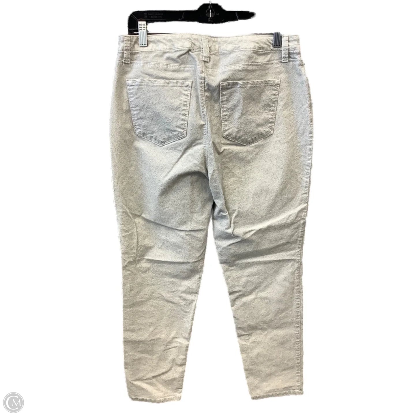 Pants Other By Charter Club In Silver, Size: 10