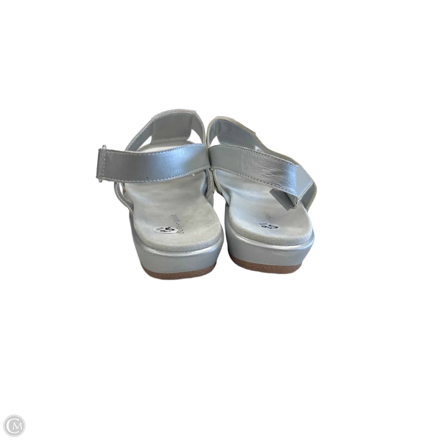 Sandals Flats By Easy Spirit In Silver, Size: 9.5