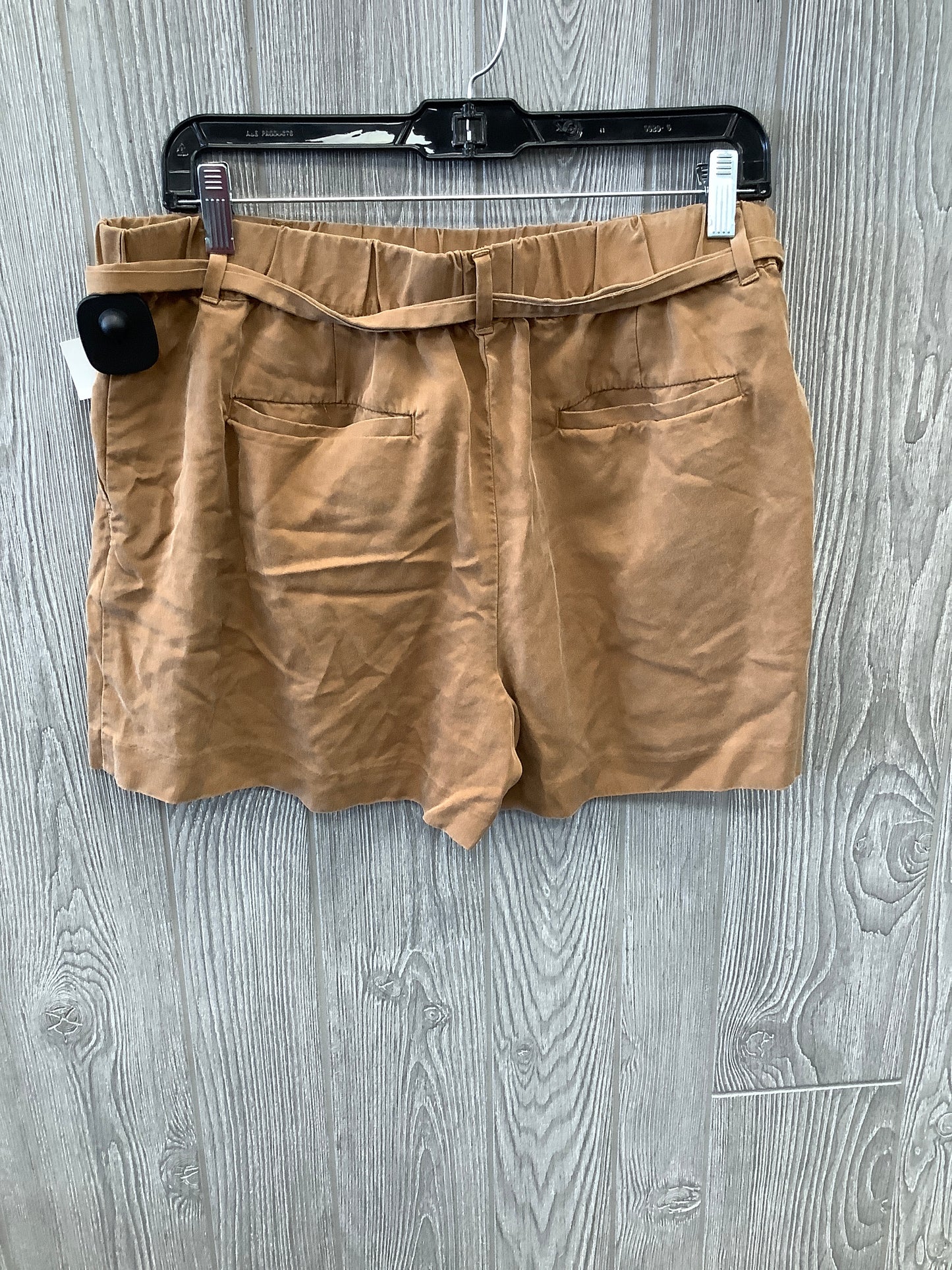 Brown Shorts Loft, Size 8