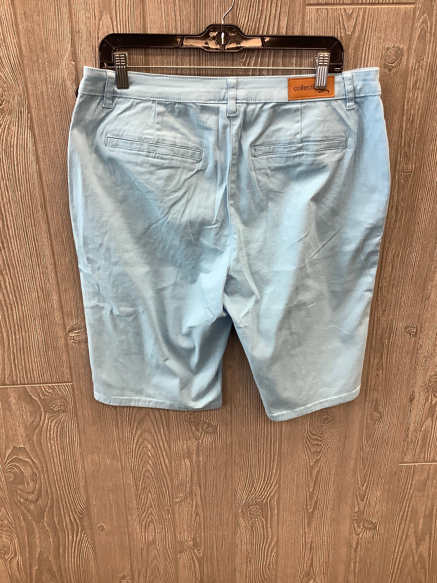 Blue Shorts Clothes Mentor, Size 12