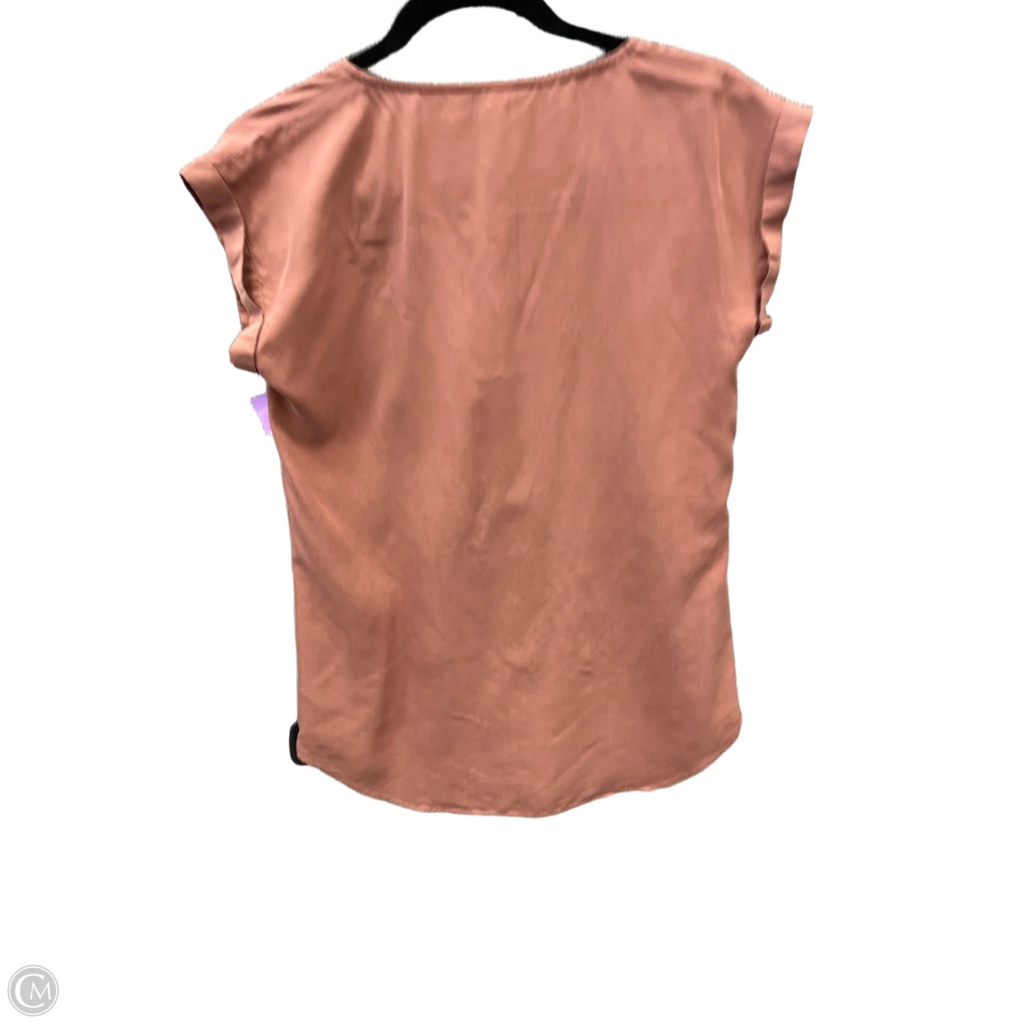 Top Short Sleeve By Express In Brown, Size: Xs