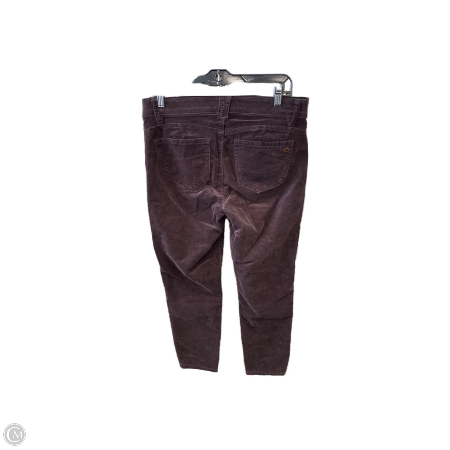 Pants Corduroy By Democracy In Purple, Size: 10p
