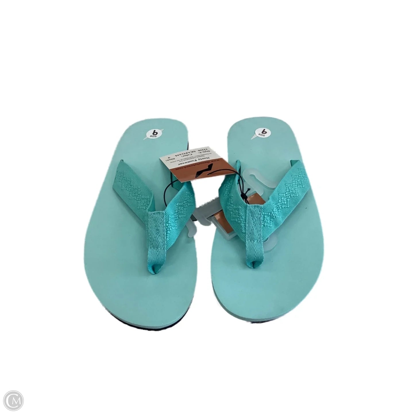 Sandals Flip Flops By Clothes Mentor In Blue, Size: 9