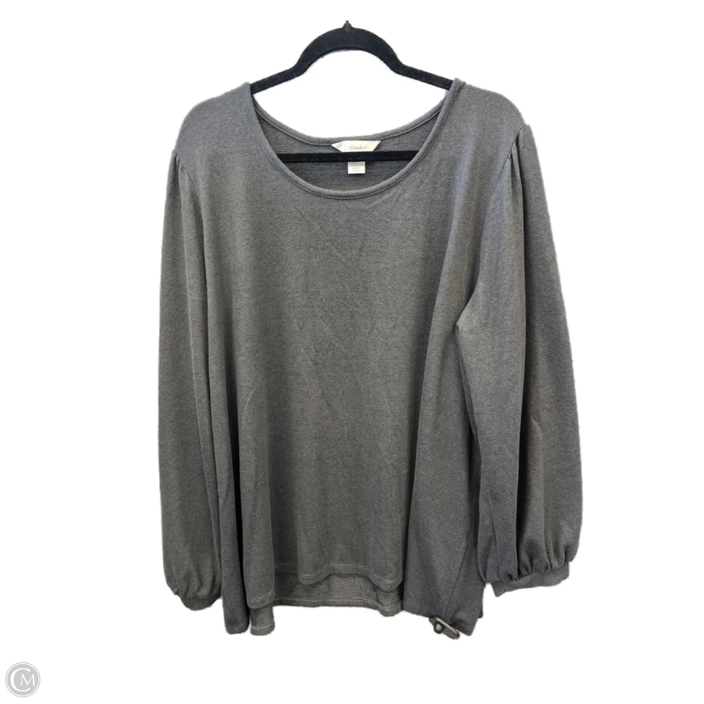 Top Long Sleeve By Cj Banks In Grey, Size: 3x