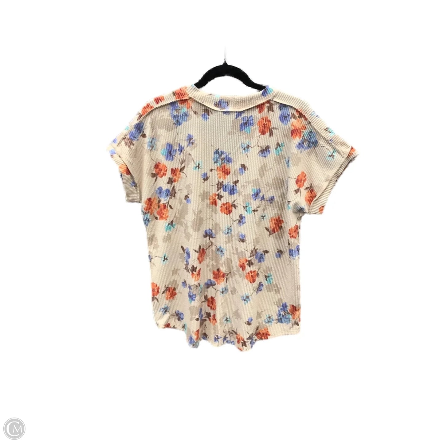 Top Short Sleeve By Heimish Usa In Pink, Size: 1x