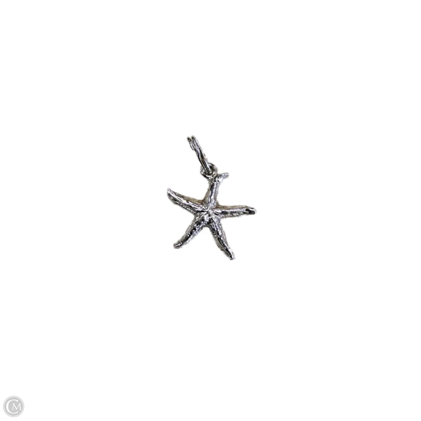 Bracelet Charm By Pandora