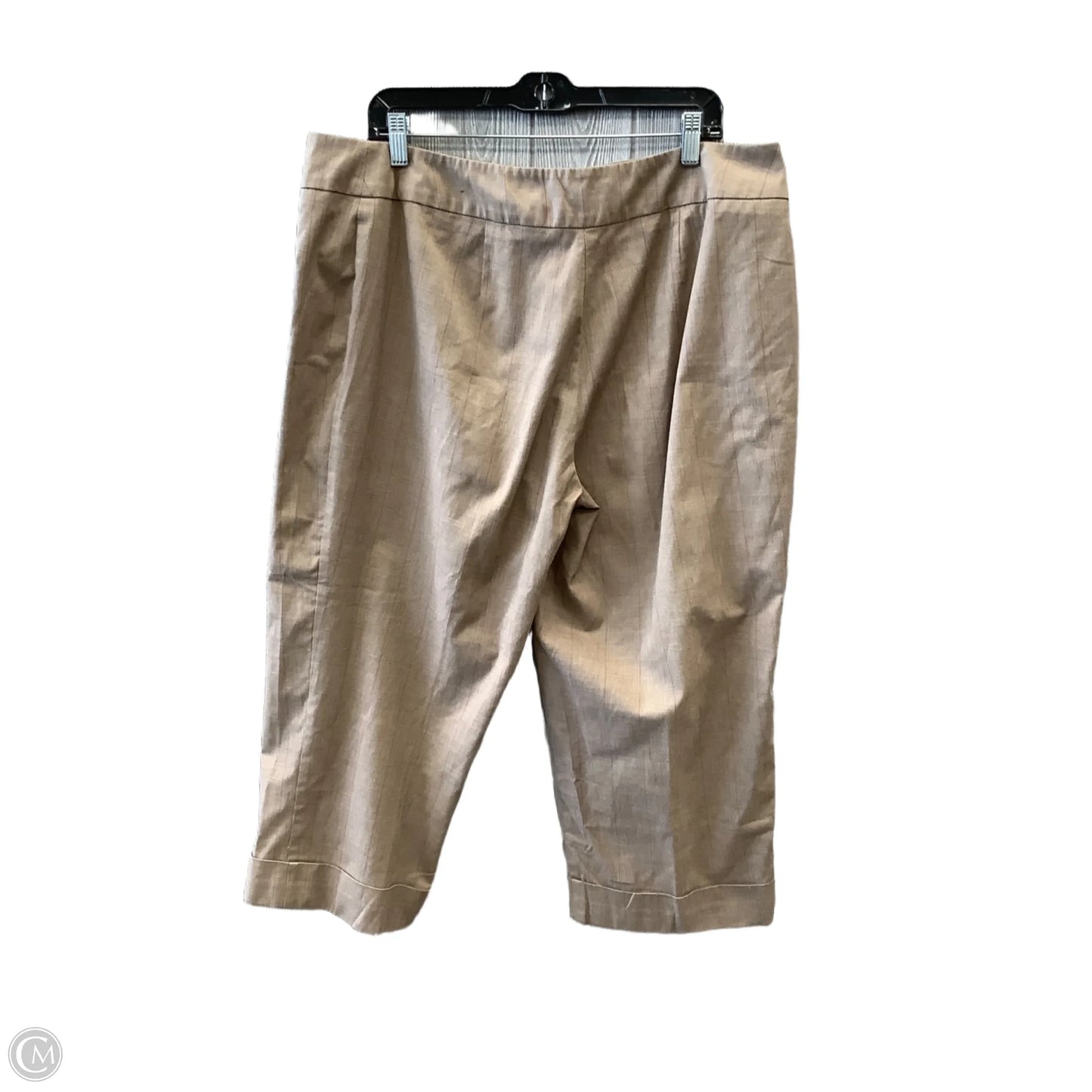 Capris By Avenue In Brown, Size: 16