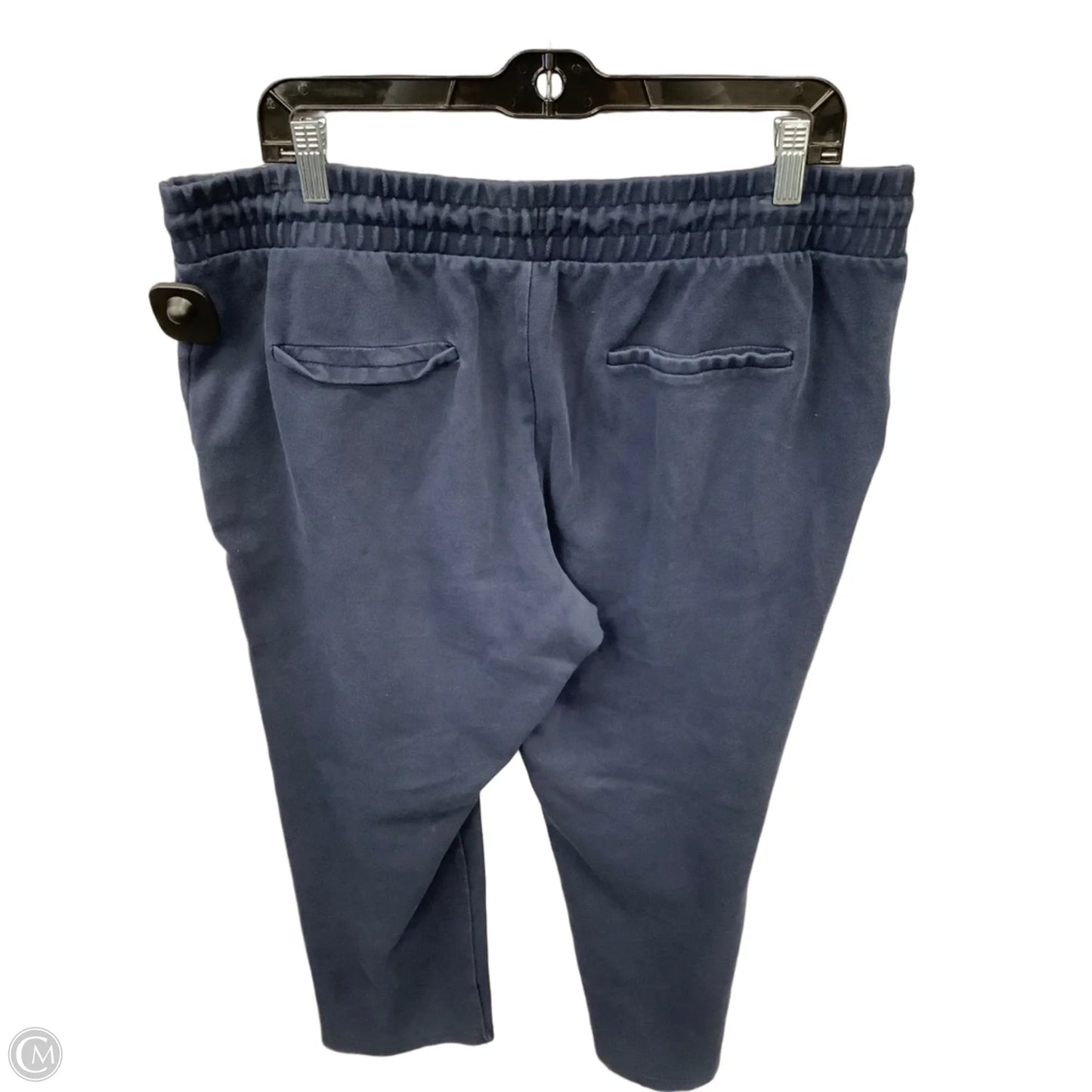Pants Lounge By Time And Tru In Blue, Size: 16