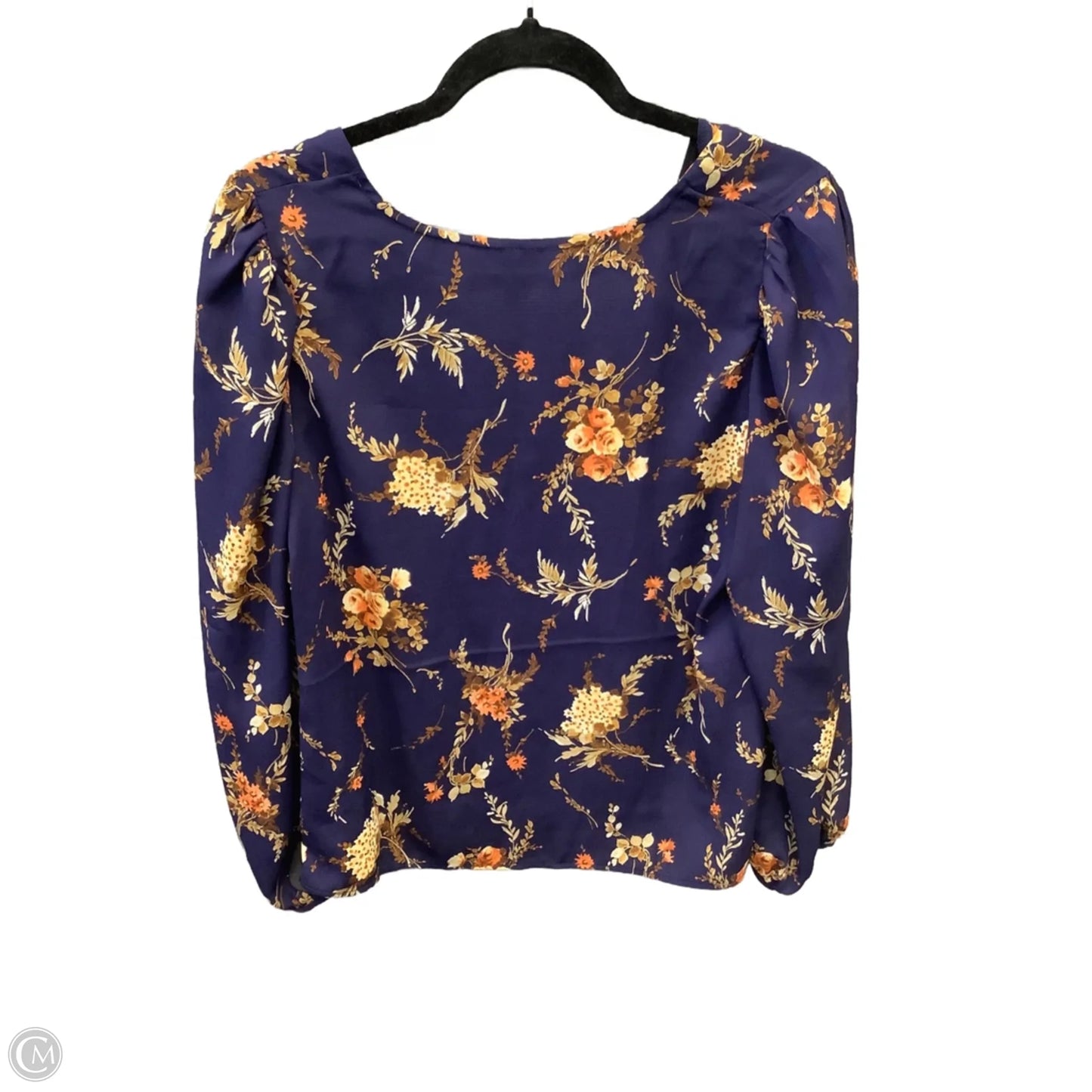 Blouse Long Sleeve By Clothes Mentor In Blue, Size: M