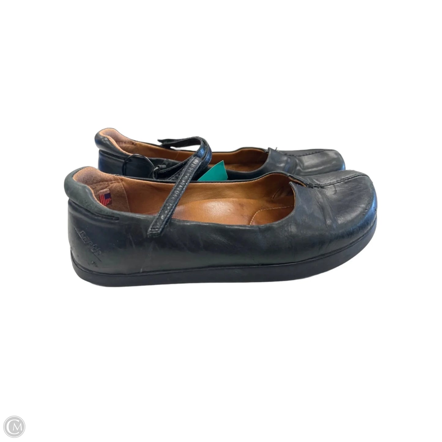 Shoes Flats By Earth In Black, Size: 8.5