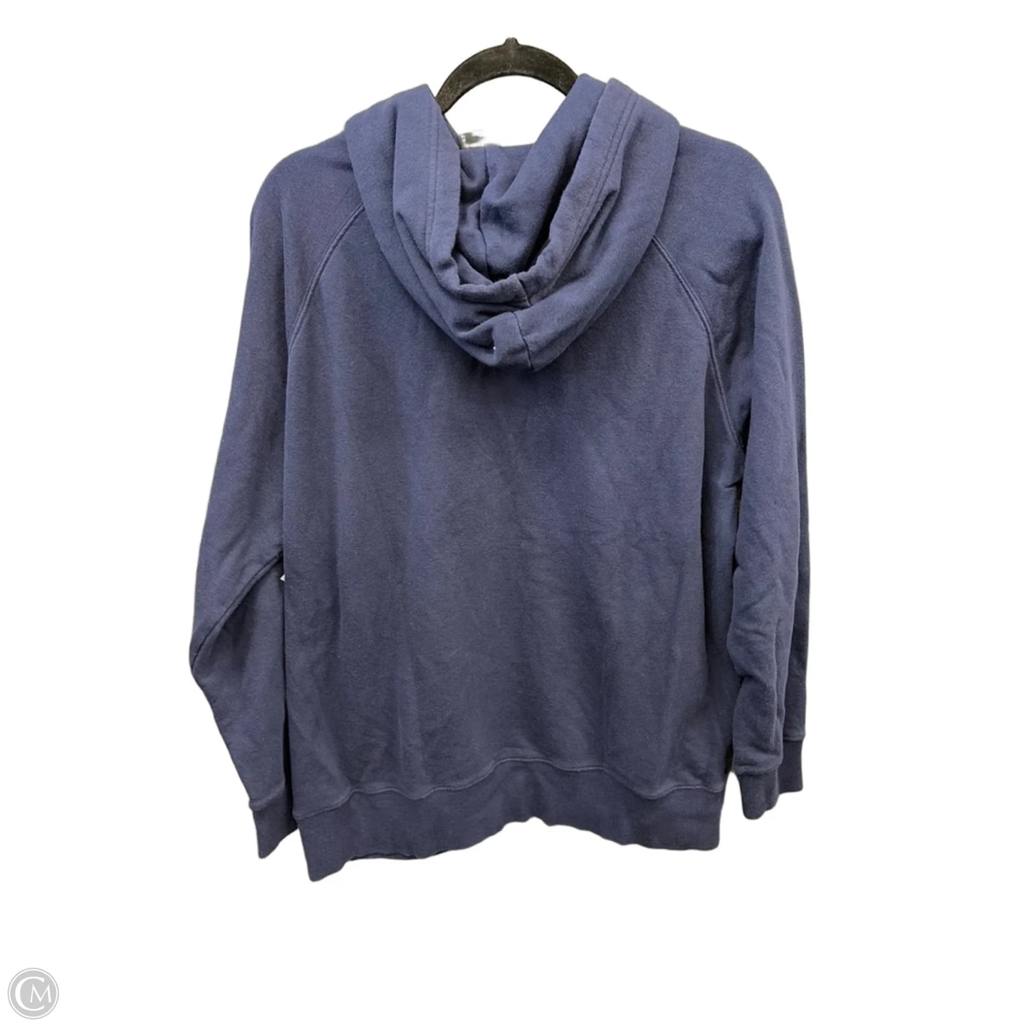 Sweatshirt Hoodie By The North Face In Navy, Size: Xl