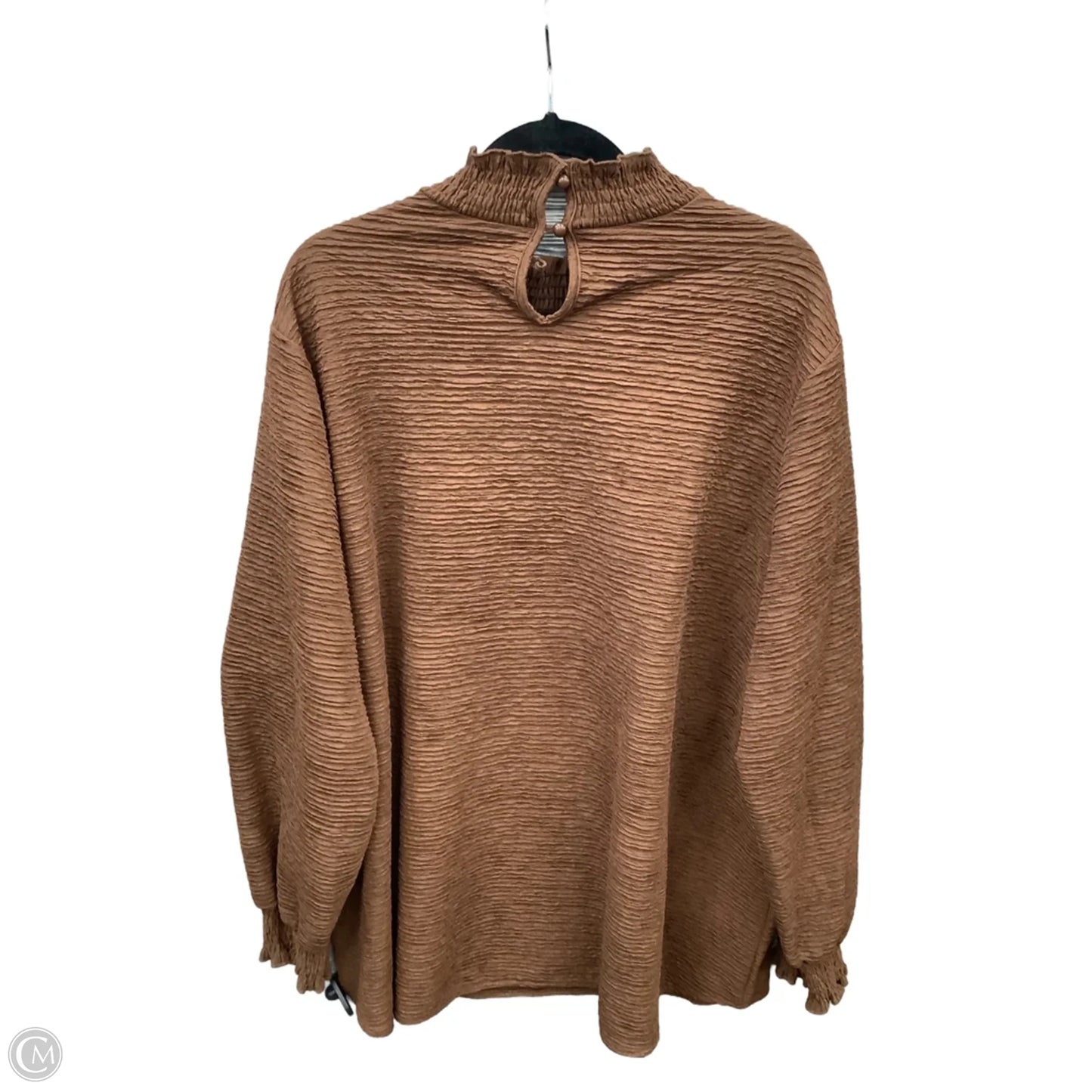 Top Long Sleeve By Shein In Brown, Size: 3x