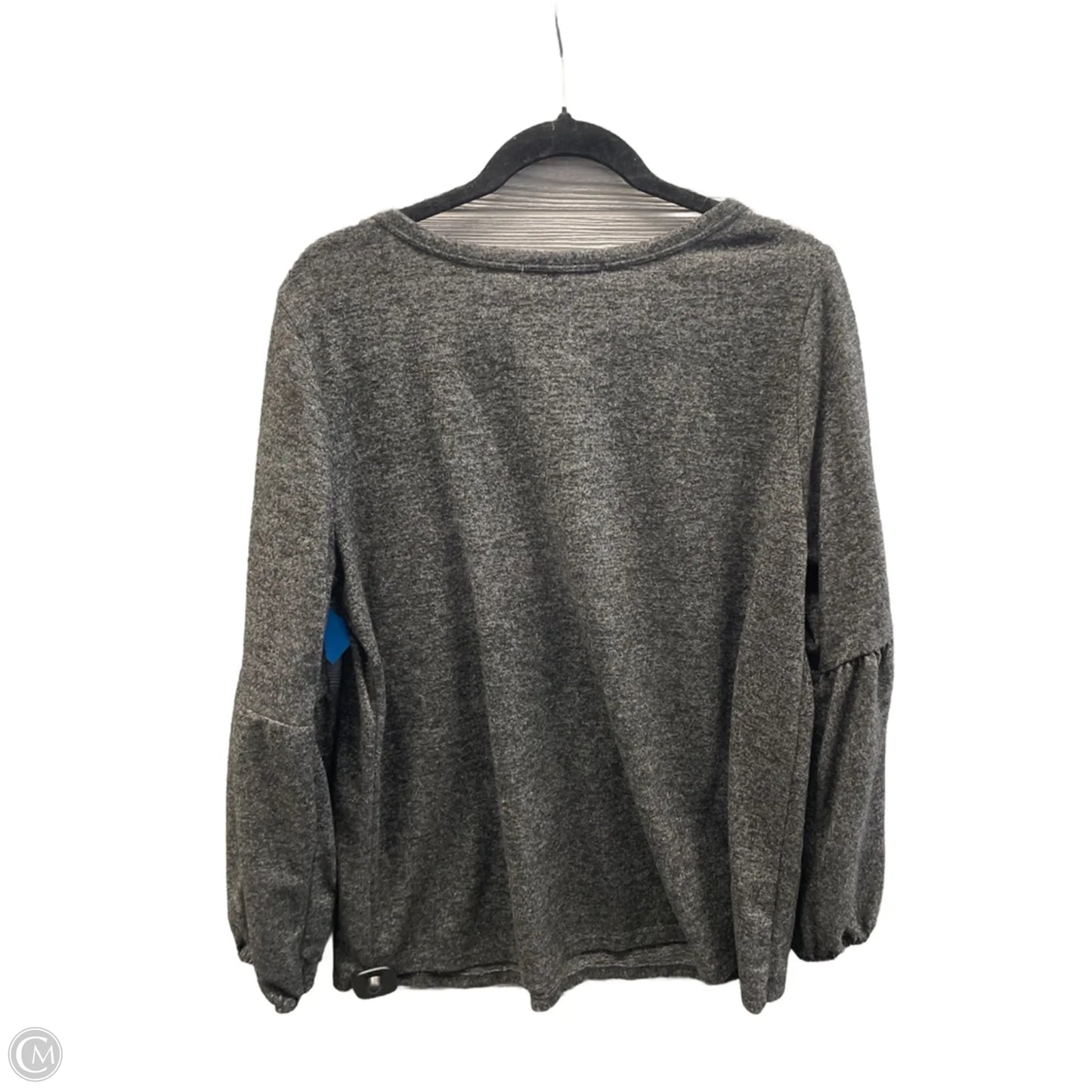 Top Long Sleeve By Absolutely Famous In Grey, Size: 1x