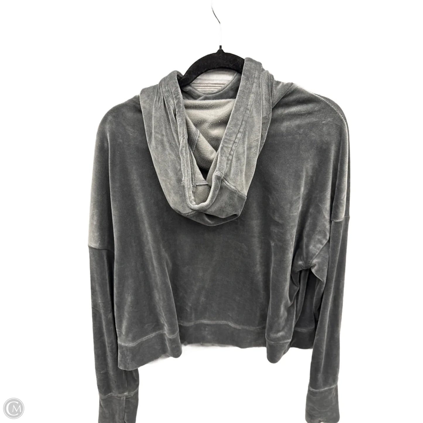 Sweatshirt Hoodie By Offline By Aerie In Grey, Size: L