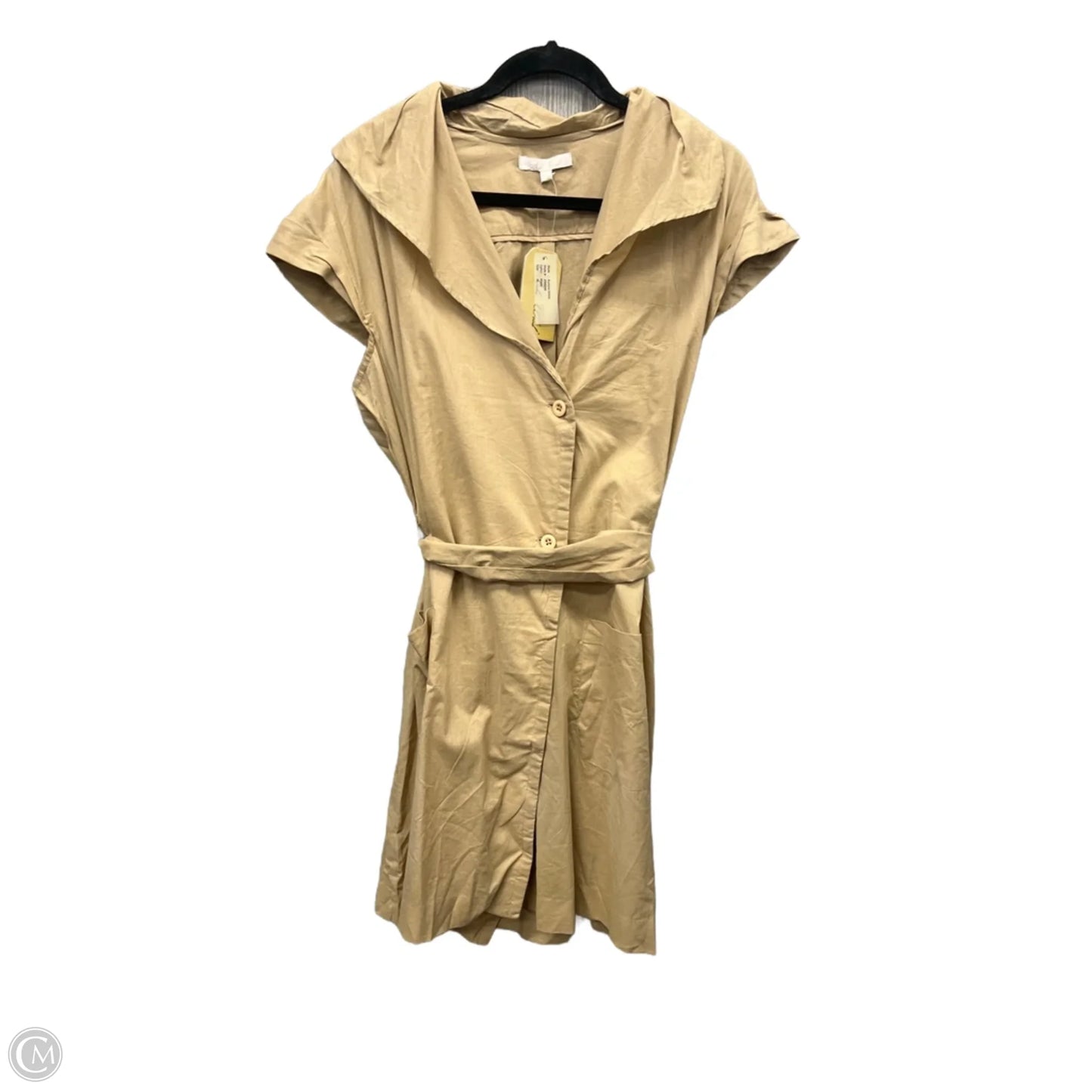 Dress Casual Short By Clothes Mentor In Tan, Size: Xl