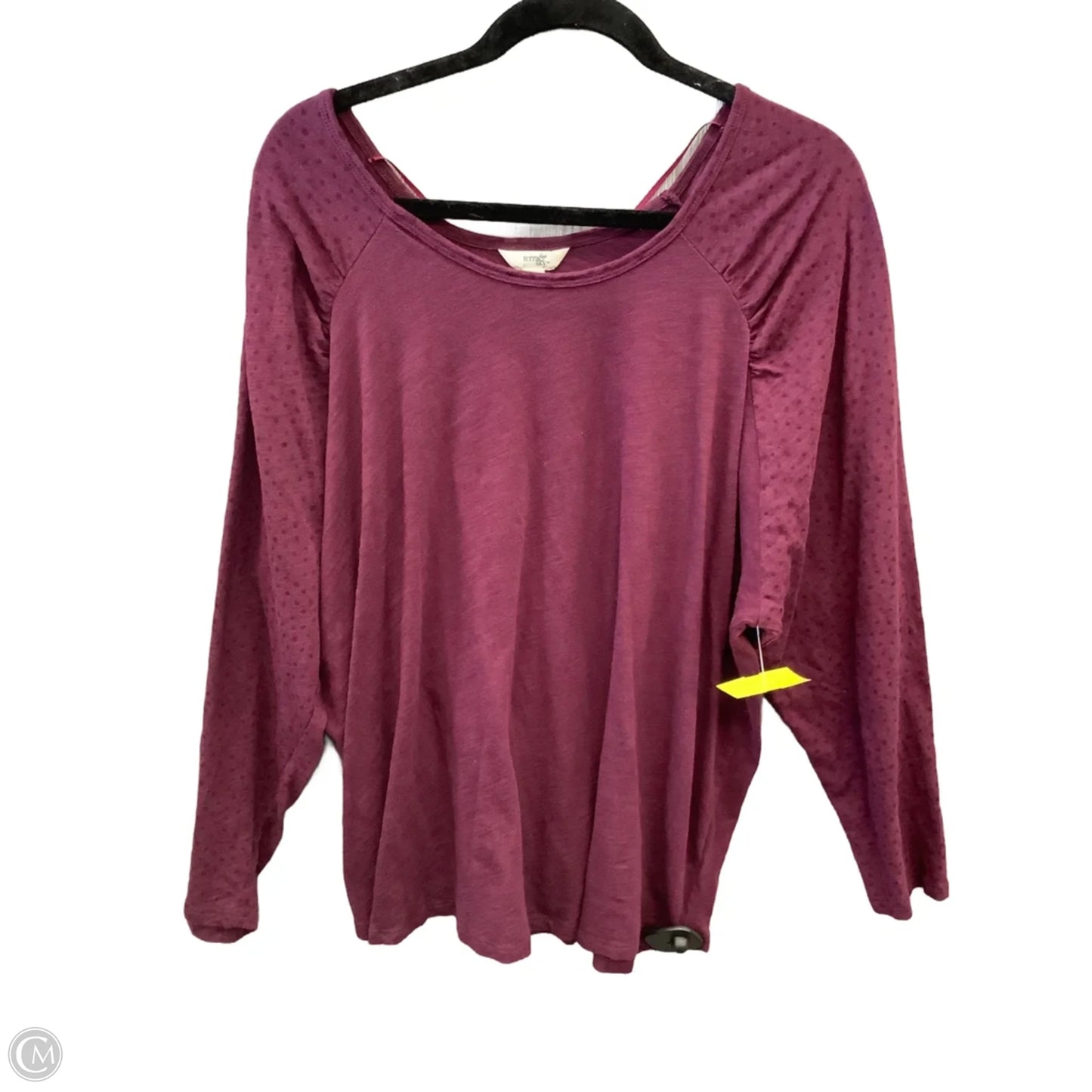 Top Long Sleeve By Terra & Sky In Purple, Size: 2x