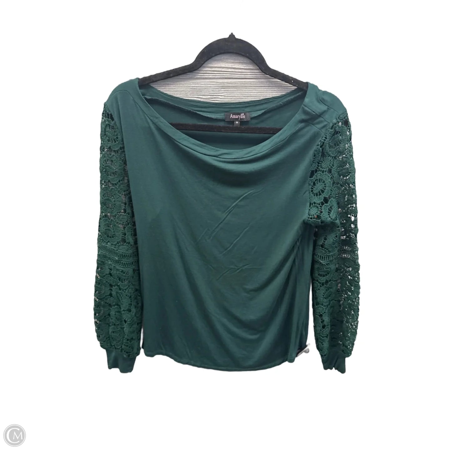 Top Long Sleeve By Amaryllis In Green, Size: M