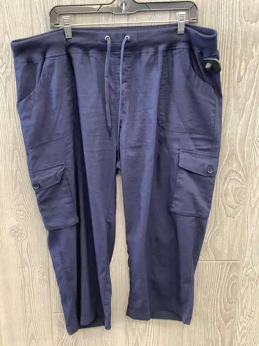 Capris By Clothes Mentor  Size: 22