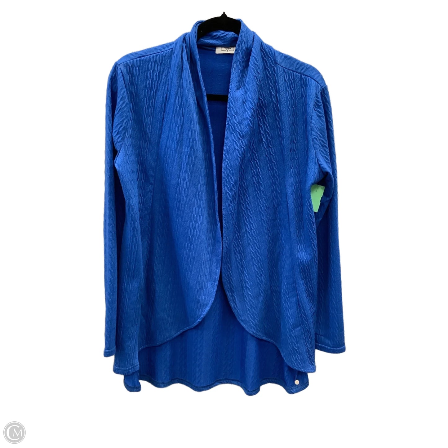 Cardigan By Clothes Mentor In Blue, Size: L