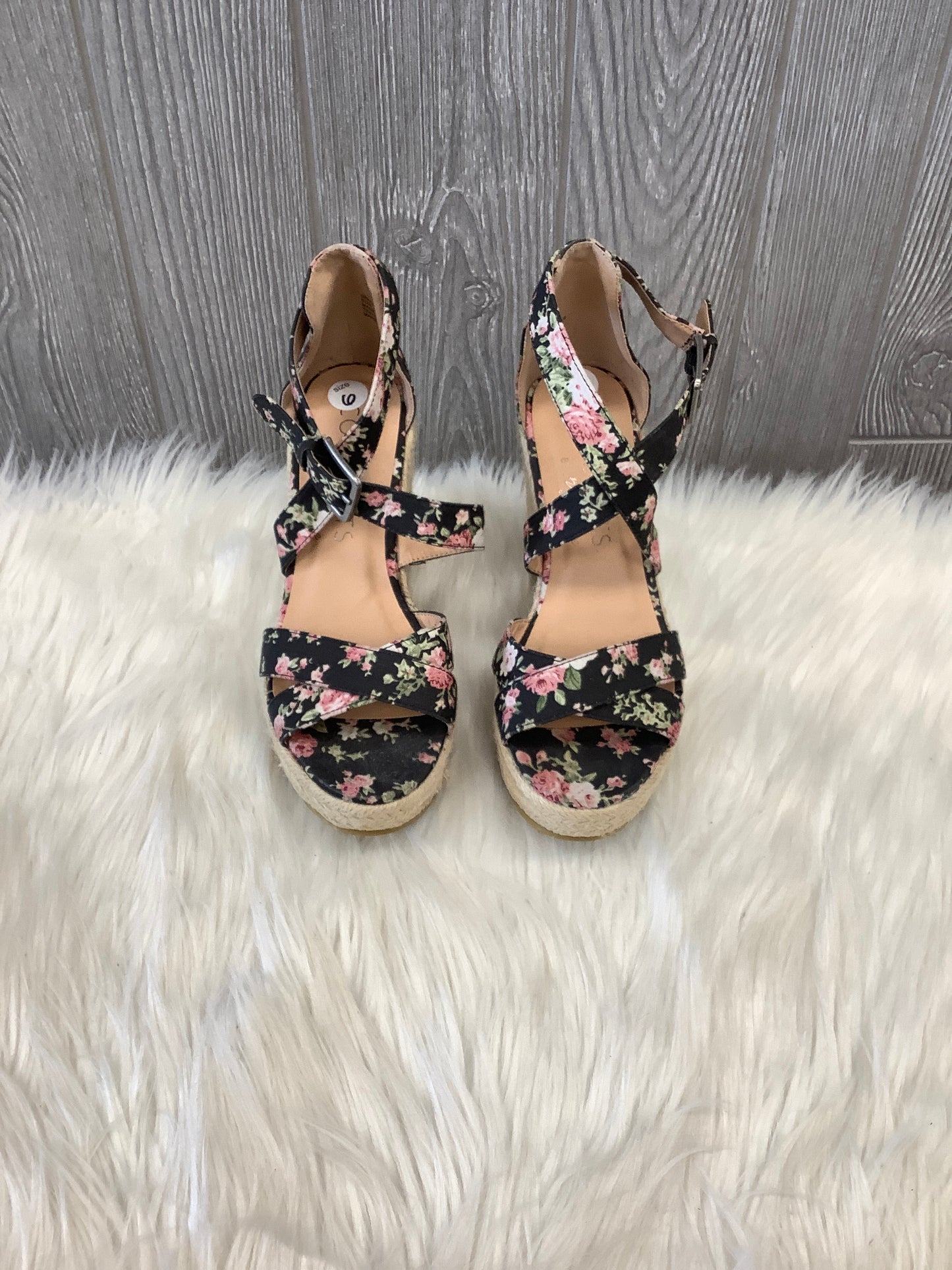 Shoes Heels Wedge By Coconuts In Floral Print, Size: 6