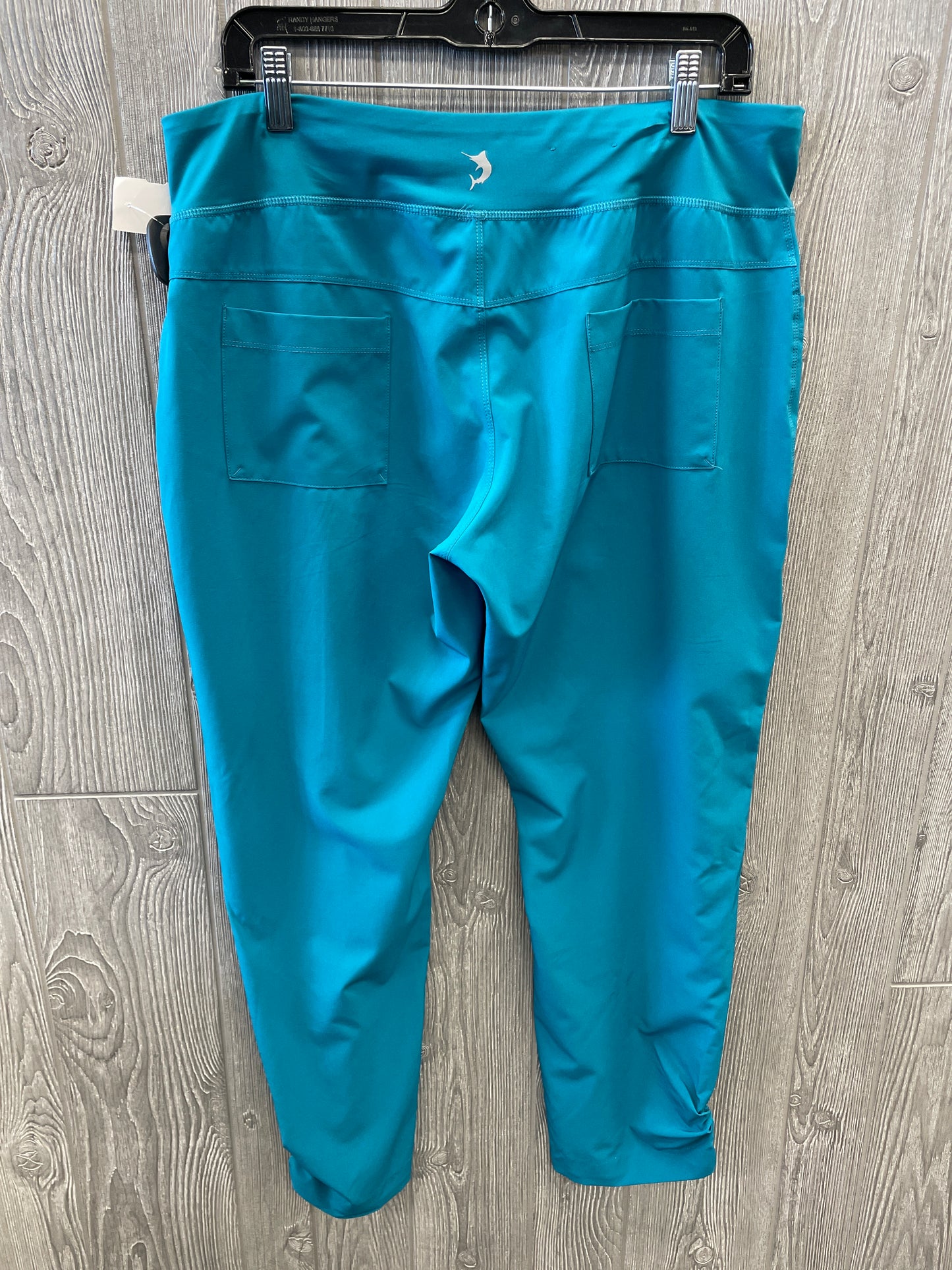 Athletic Pants By Reel Legends In Blue, Size: L