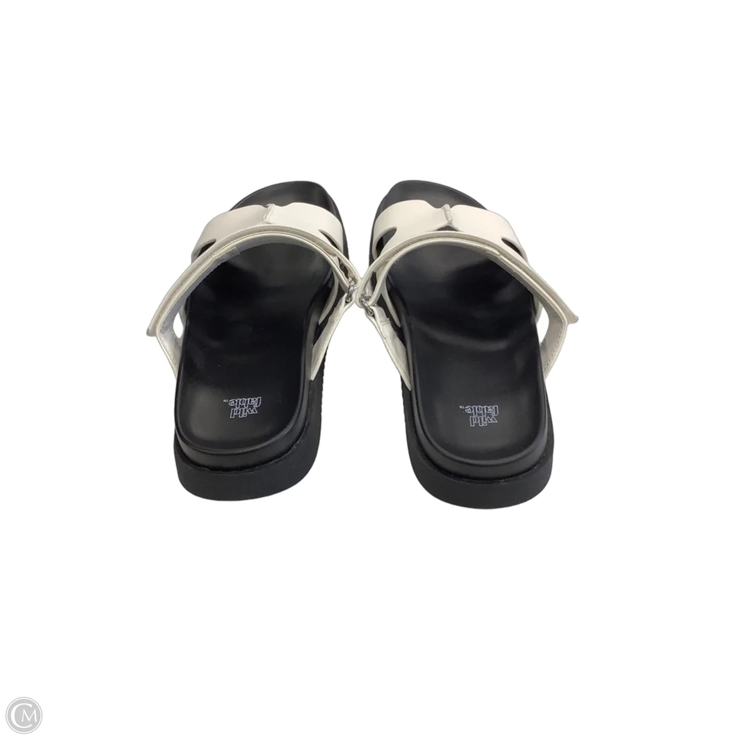 Sandals Flats By Wild Fable In White, Size: 9