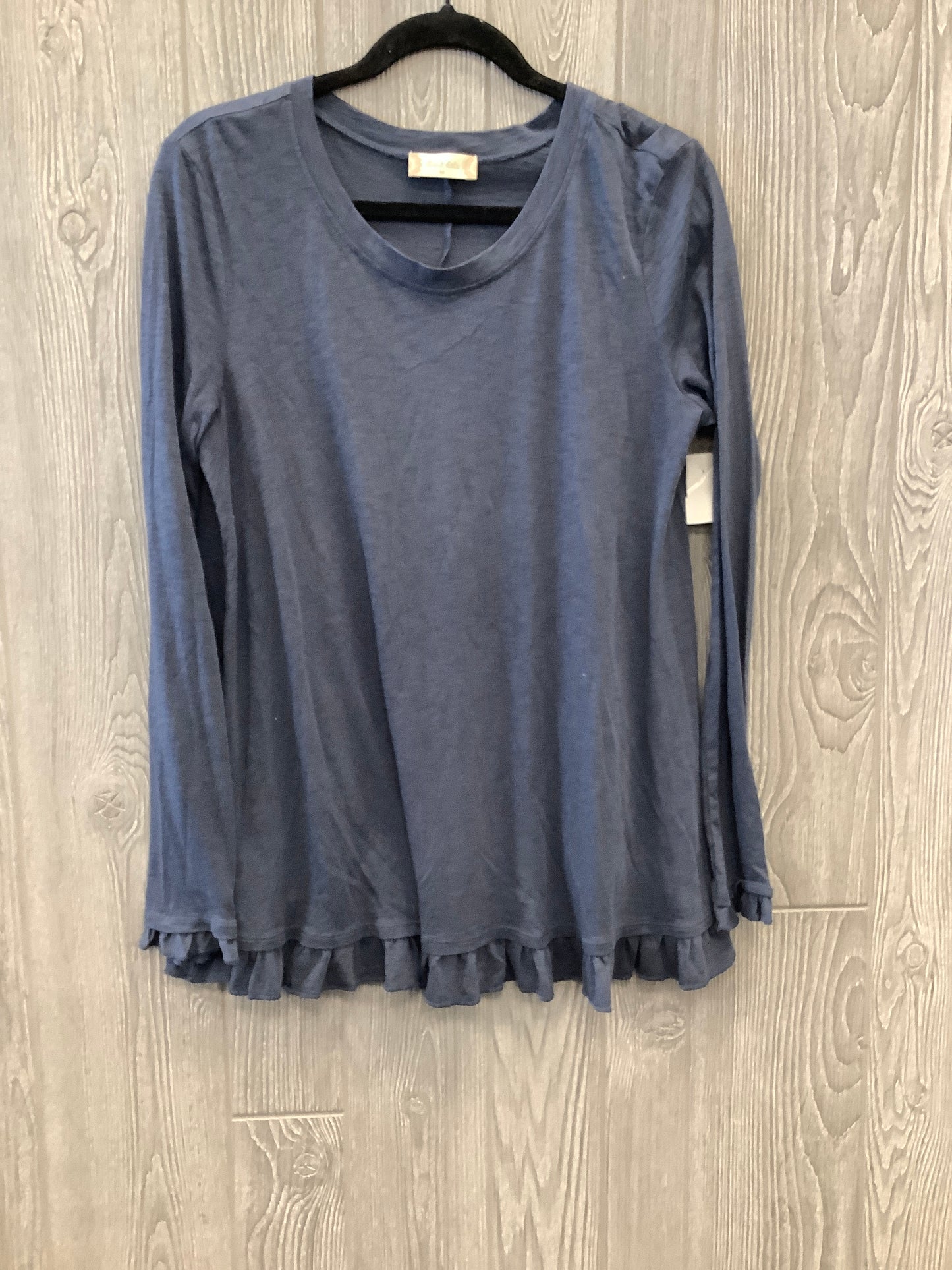 Top Long Sleeve By Altard State In Blue, Size: M