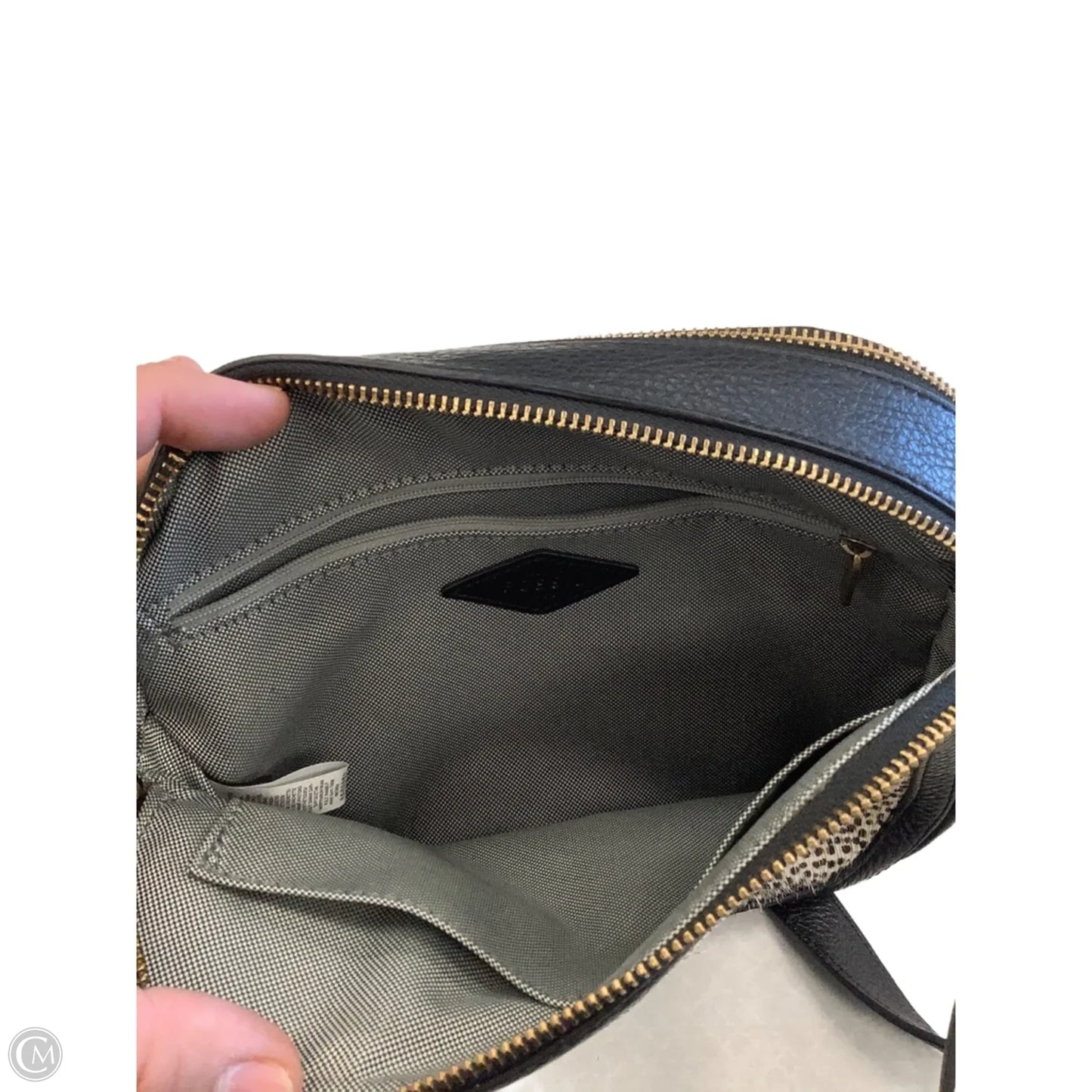 Crossbody By Fossil, Size: Medium