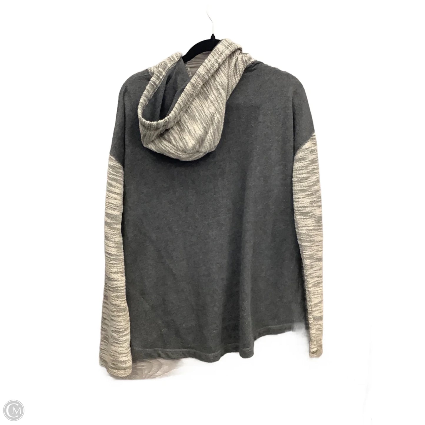 Sweatshirt Hoodie By Clothes Mentor In Grey, Size: 2x
