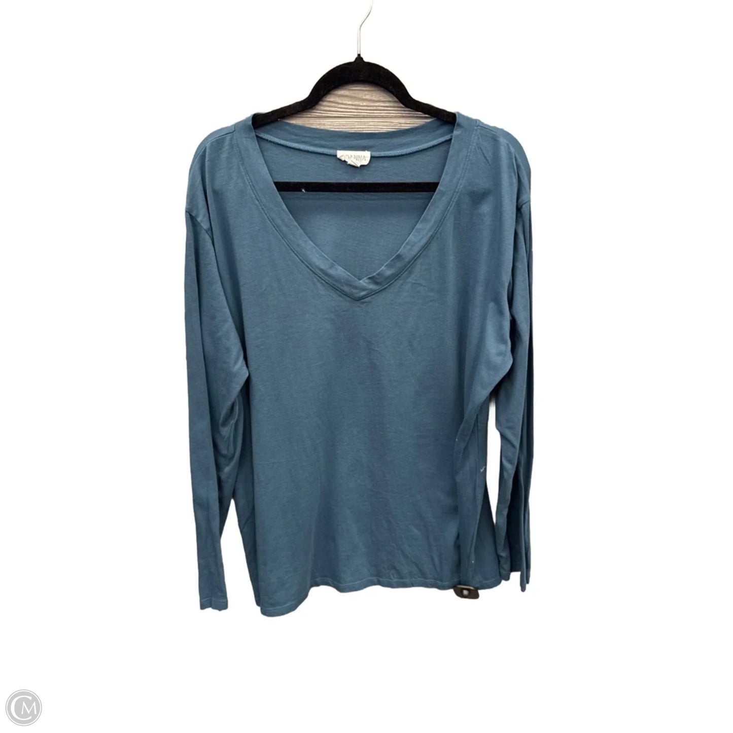 Top Long Sleeve Basic By Clothes Mentor In Blue, Size: 2x