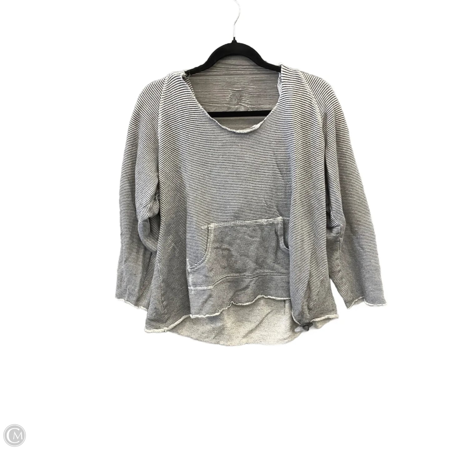 Athletic Top Long Sleeve Hoodie By Calvin Klein Performance In Striped Pattern, Size: 1x