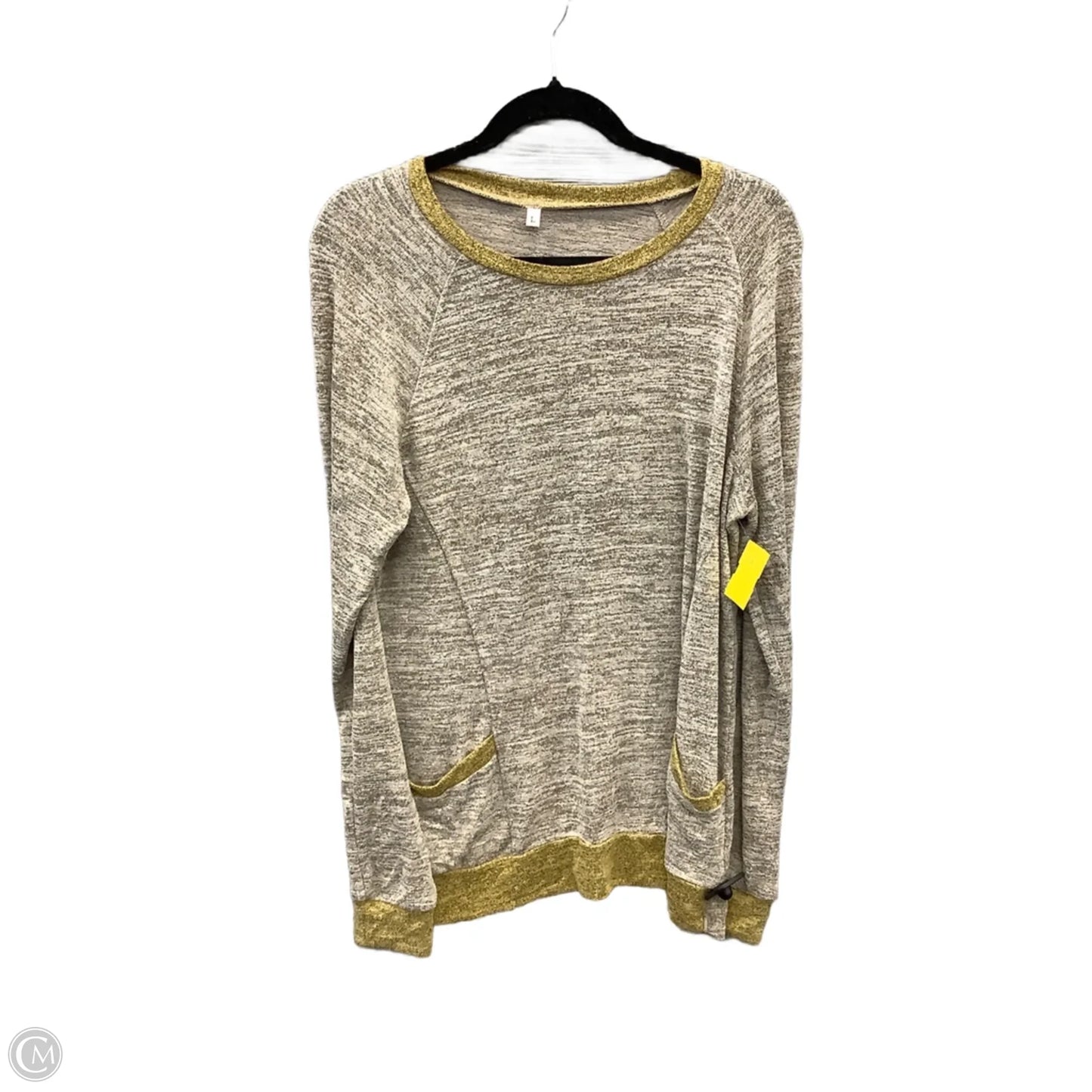 Tunic Long Sleeve By Clothes Mentor In Tan, Size: L