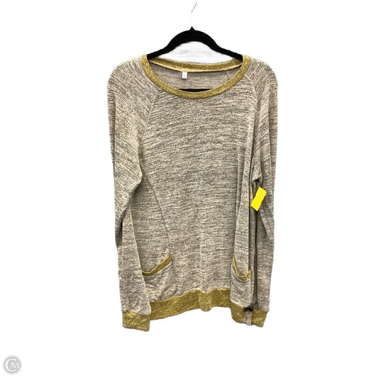 Tunic Long Sleeve By Clothes Mentor In Tan, Size: L