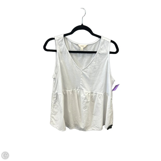 Top Sleeveless By Terra & Sky In White, Size: 1x