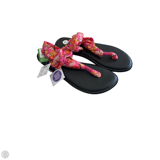 Sandals Flats By Sanuk In Black & Pink, Size: 7