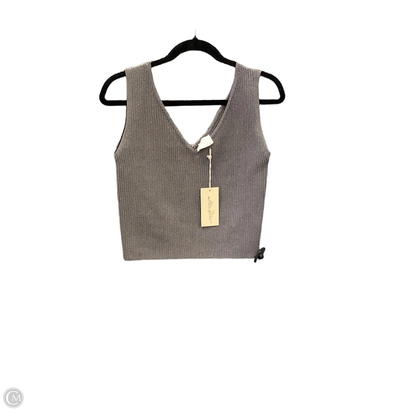 Top Sleeveless By Clothes Mentor In Grey, Size: L