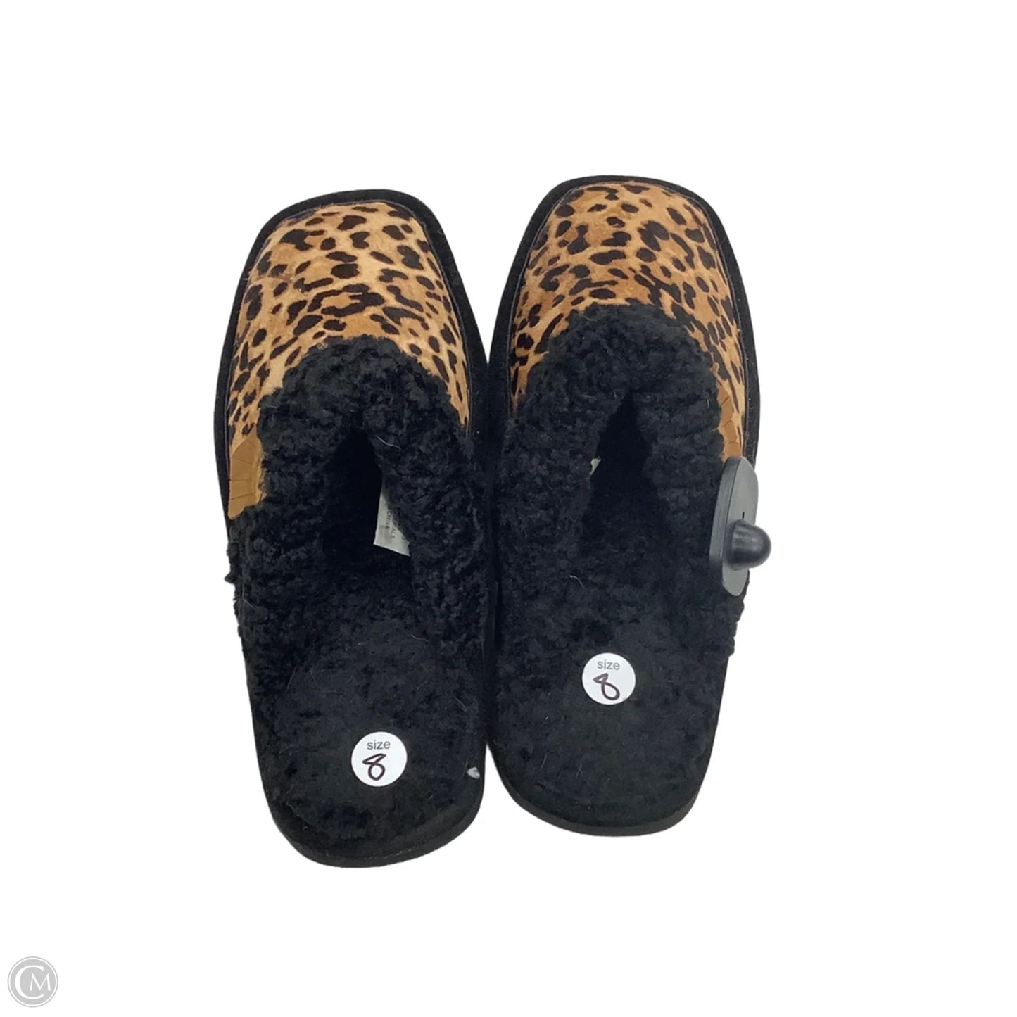 Slippers By Ariat In Animal Print, Size: 8