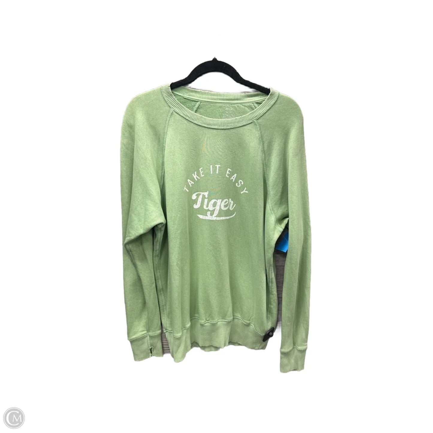 Sweatshirt Crewneck By Aerie In Green, Size: Xs