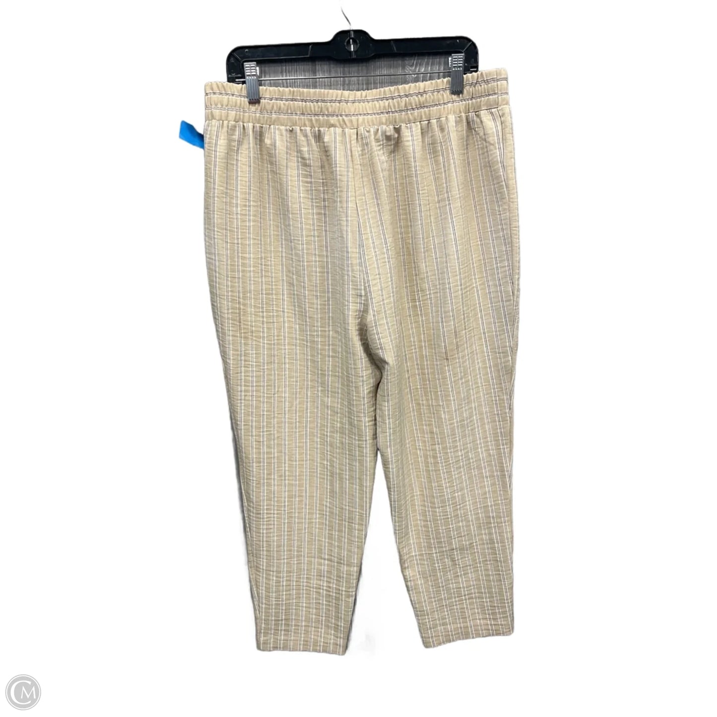 Pants Other By Nycc In Striped Pattern, Size: 12