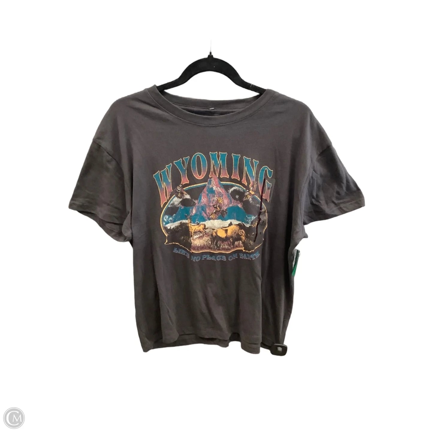 Top Short Sleeve By Clothes Mentor In Grey, Size: Xl