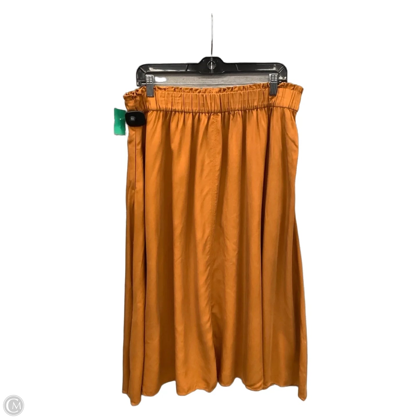 Skirt Maxi By Ann Taylor In Gold, Size: 12