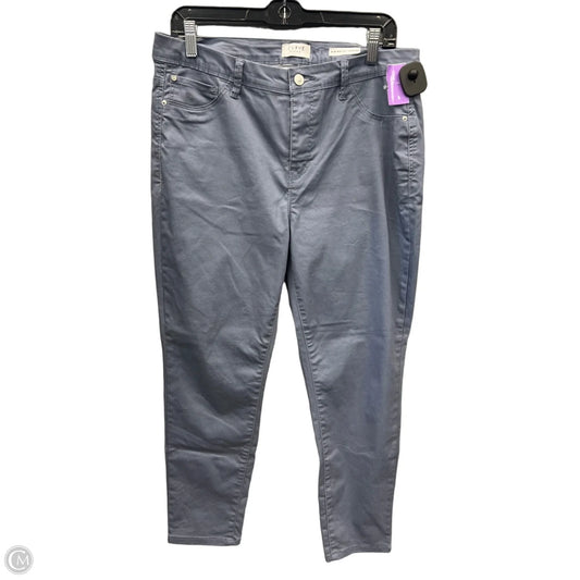 Jeans Jeggings By Curve Appeal In Blue, Size: 14