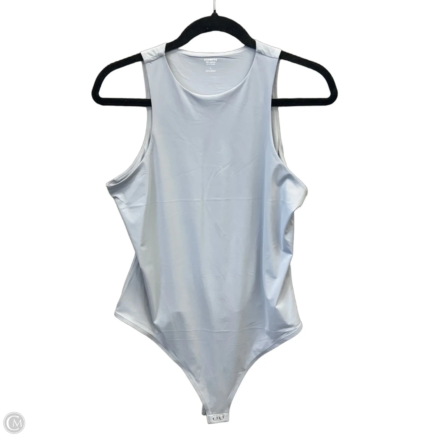 Bodysuit By Express In Blue, Size: L
