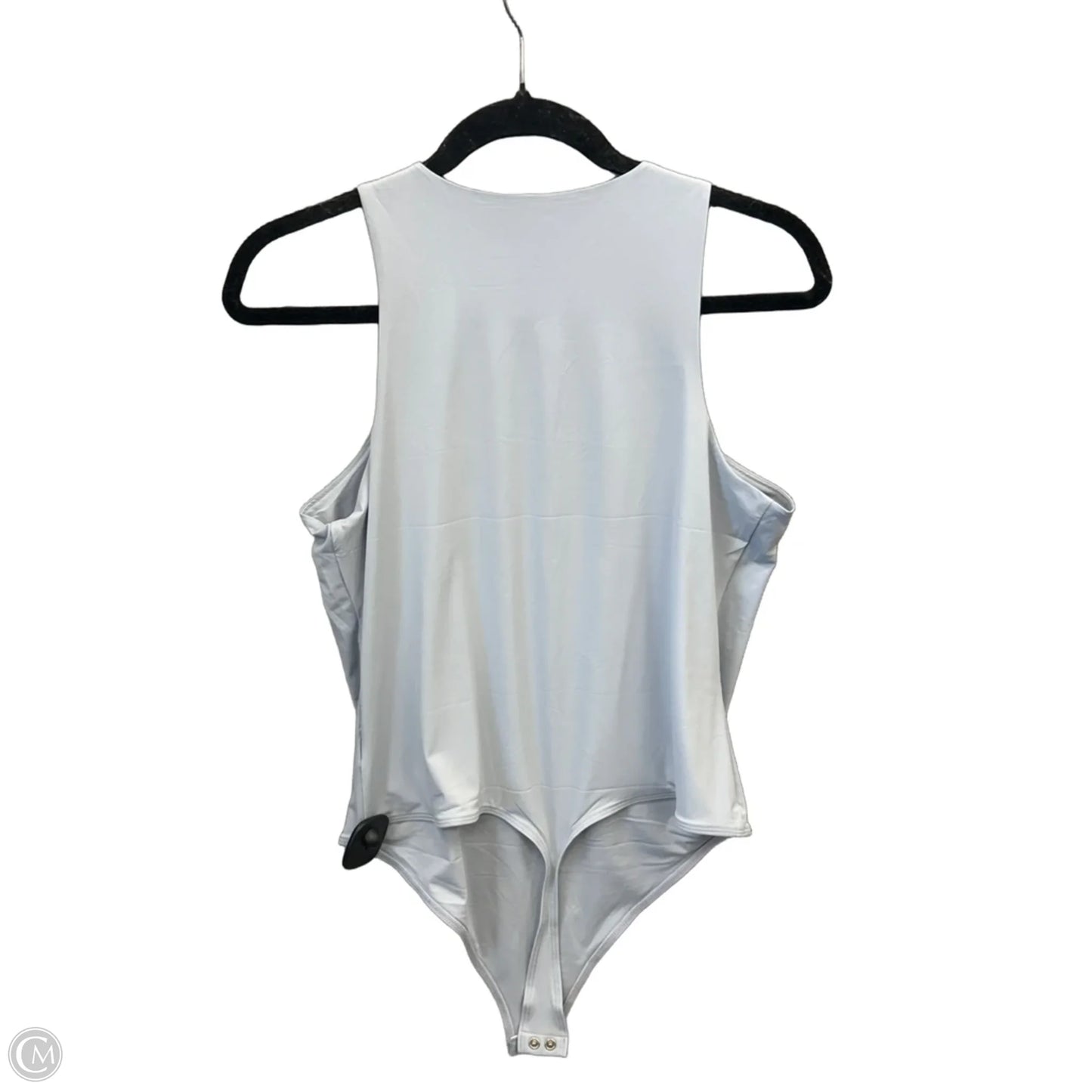 Bodysuit By Express In Blue, Size: L
