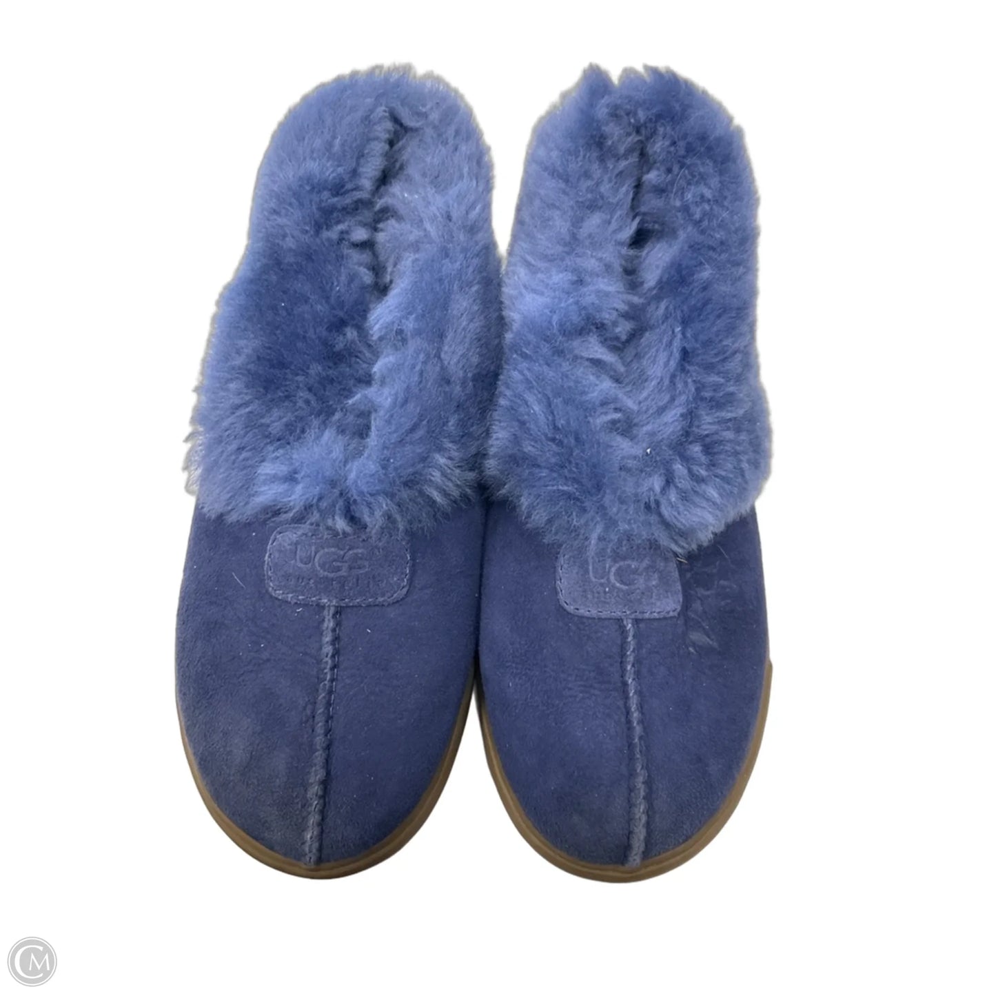 Shoes Designer By Ugg In Blue, Size: 6