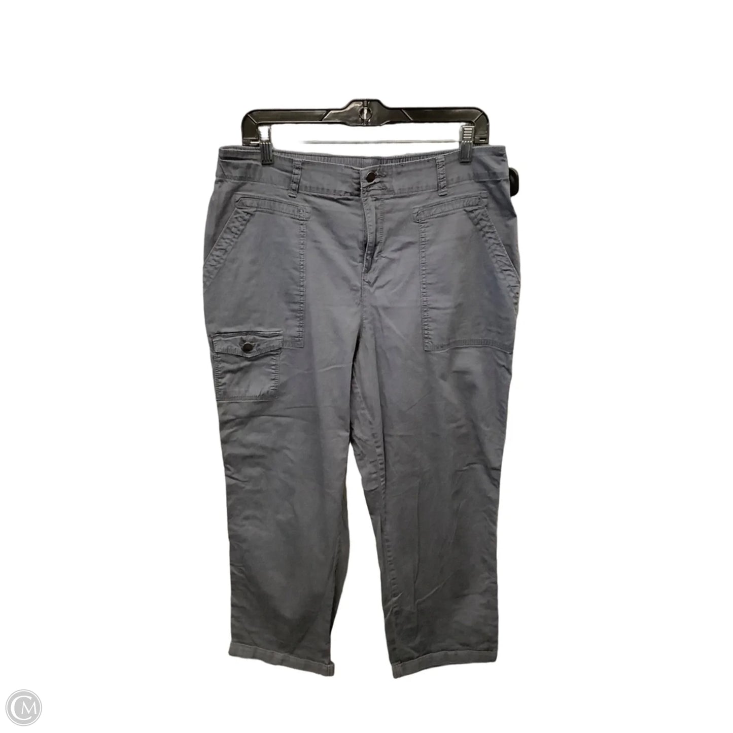 Pants Cargo & Utility By Time And Tru In Grey, Size: 14