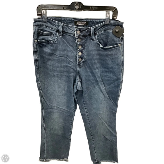 Jeans Straight By Judy Blue In Blue Denim, Size: 14