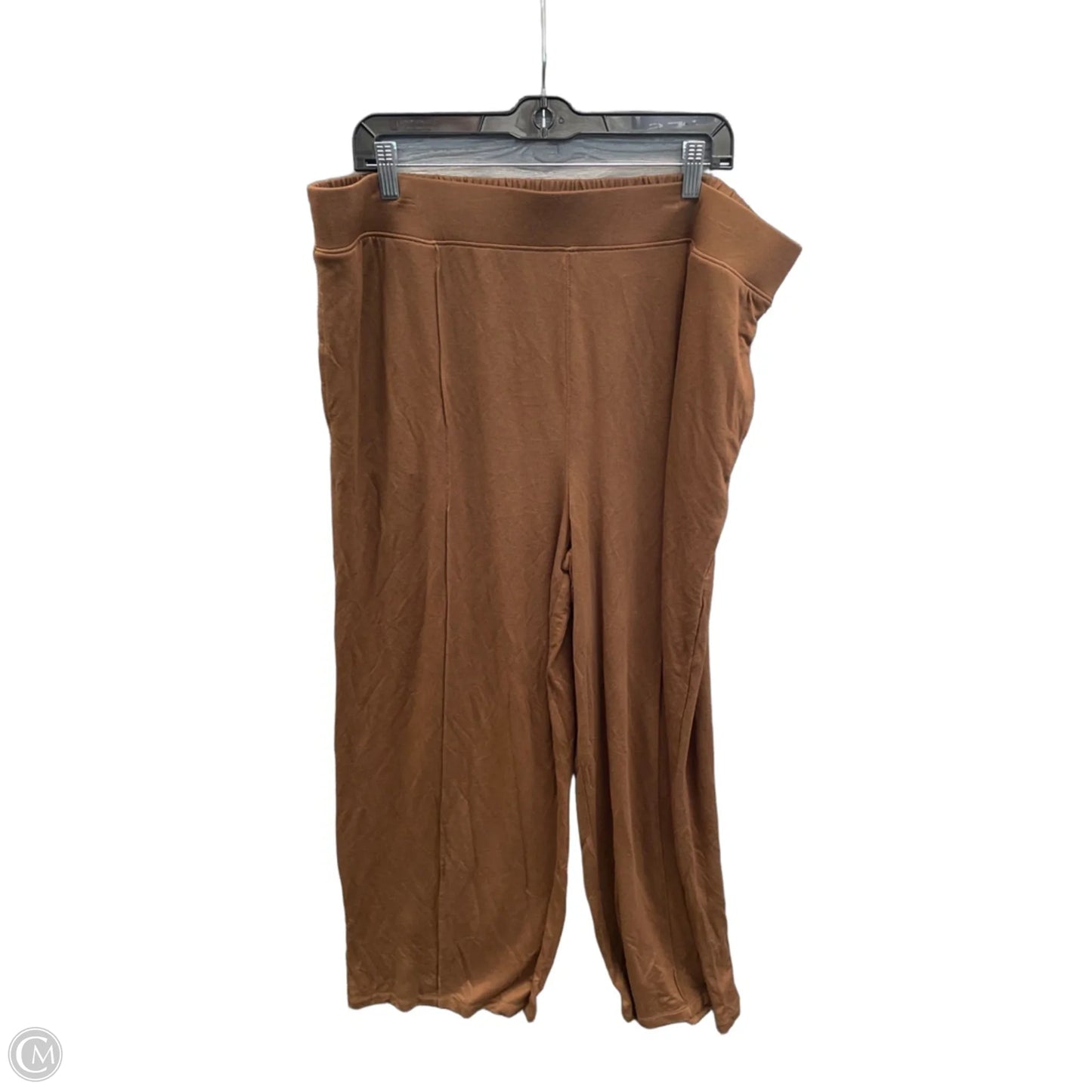 Pants Wide Leg By Time And Tru In Brown, Size: 20