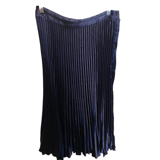 Skirt Midi By Express In Blue, Size: 8