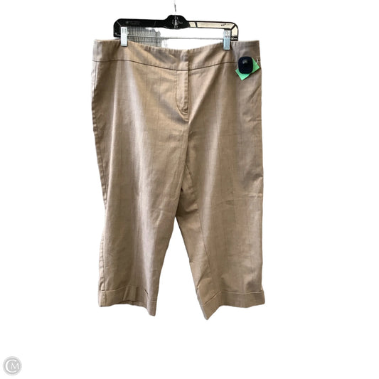 Capris By Avenue In Brown, Size: 16